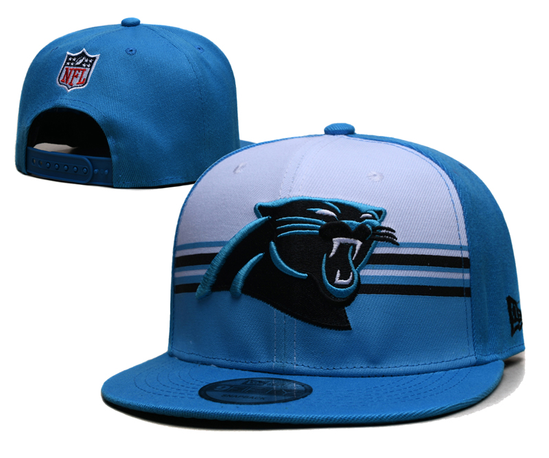 2024 NFL Carolina Panthers Hat YS20241118->nfl hats->Sports Caps